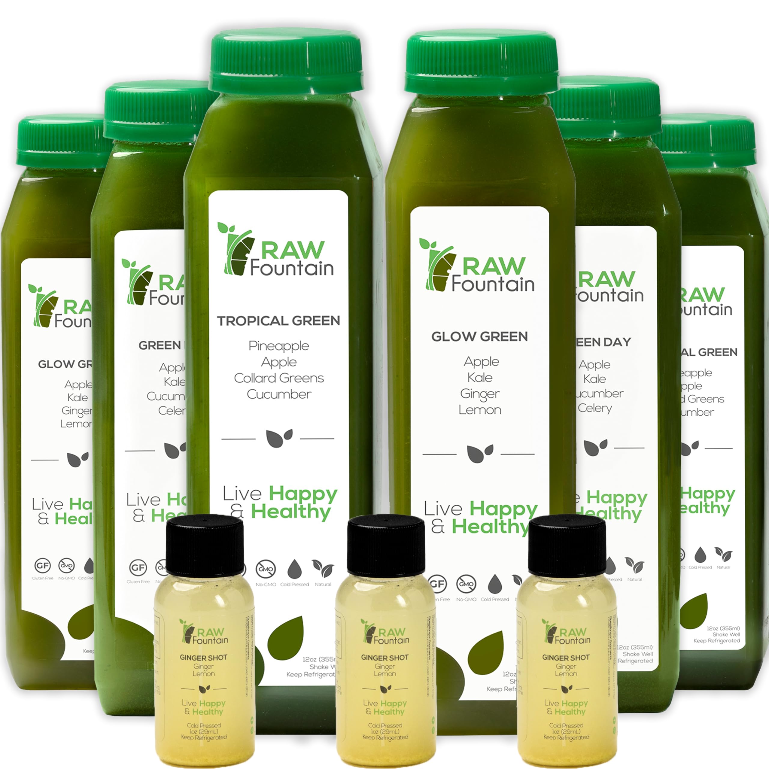 1 Day Green Juice Cleanse by Raw Fountain, All Natural Raw, Vegan Detox, Cold Pressed